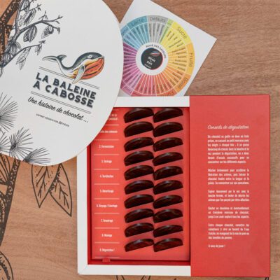 Chocolatier à Marseille - Chocolaterie artisanale La Baleine à cabosse 9 Coffret dégustation 10 terroirs / 20 palets