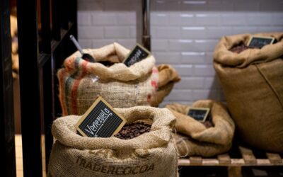 Blog 8 L’histoire du chocolat à travers les siècles