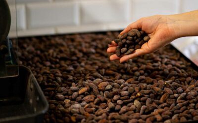 Blog 9 Chocolat bean-to-bar, qu’est-ce que c’est ?